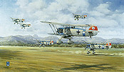 Heinkel He-51 B1, JG 135 Bad Aibling aviation art print by Friedl Wuelfing