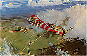 Papagei - Focke Wulf FW 190 D-9 Aviation Art by Michael Howard