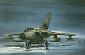 In the Air Tonight, Tornado GR1 aviation art print by Michael Rondot